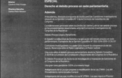Antecedentes, itinerario y programa de acción para las Comisiones Investigadoras, después de la Opinión Consultiva N° 2 de la Comisión de Constitución del Congreso (Alcances de la STC 156-2012-PHC/TC)