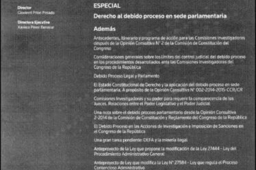 Antecedentes, itinerario y programa de acción para las Comisiones Investigadoras, después de la Opinión Consultiva N° 2 de la Comisión de Constitución del Congreso (Alcances de la STC 156-2012-PHC/TC)