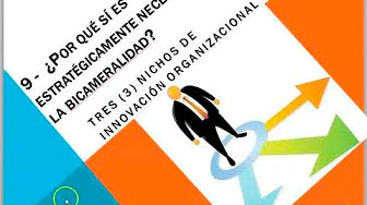 CDG-Reforma del Parlamento (9)