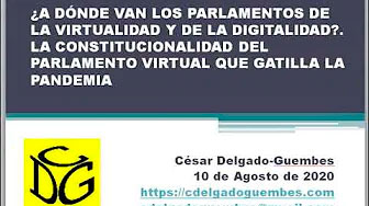 CDG - Constitucionalidad y virtualidad en el parlamento peruano (Agosto, 2020)