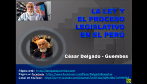 CDG - (1) El saber técnico y el saber político del legislador