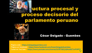 CDG - El proceso y la organización parlamentaria (1)