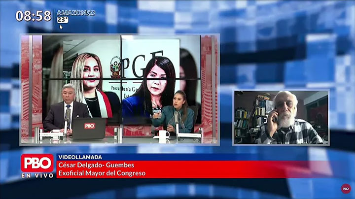 Opinión de CIDH sobre remoción de JNJ e irregularidades en el desempeño parlamentario