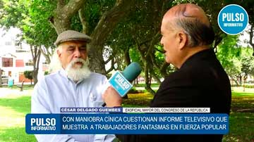 CDG - La dimensión crítica de la vida política nacional y el desempeño representativo en el Congreso